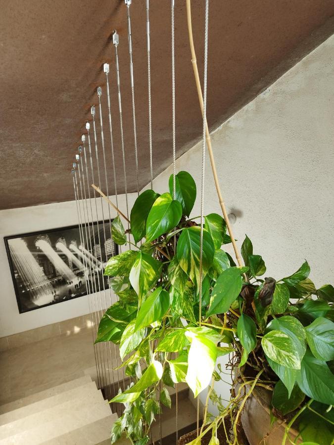 Loft A Roda De Bera Ngoại thất bức ảnh